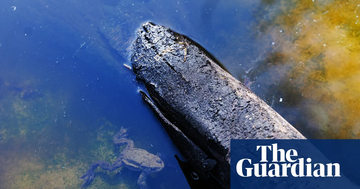 'It changed my life': How a dose of nature cures mental illness